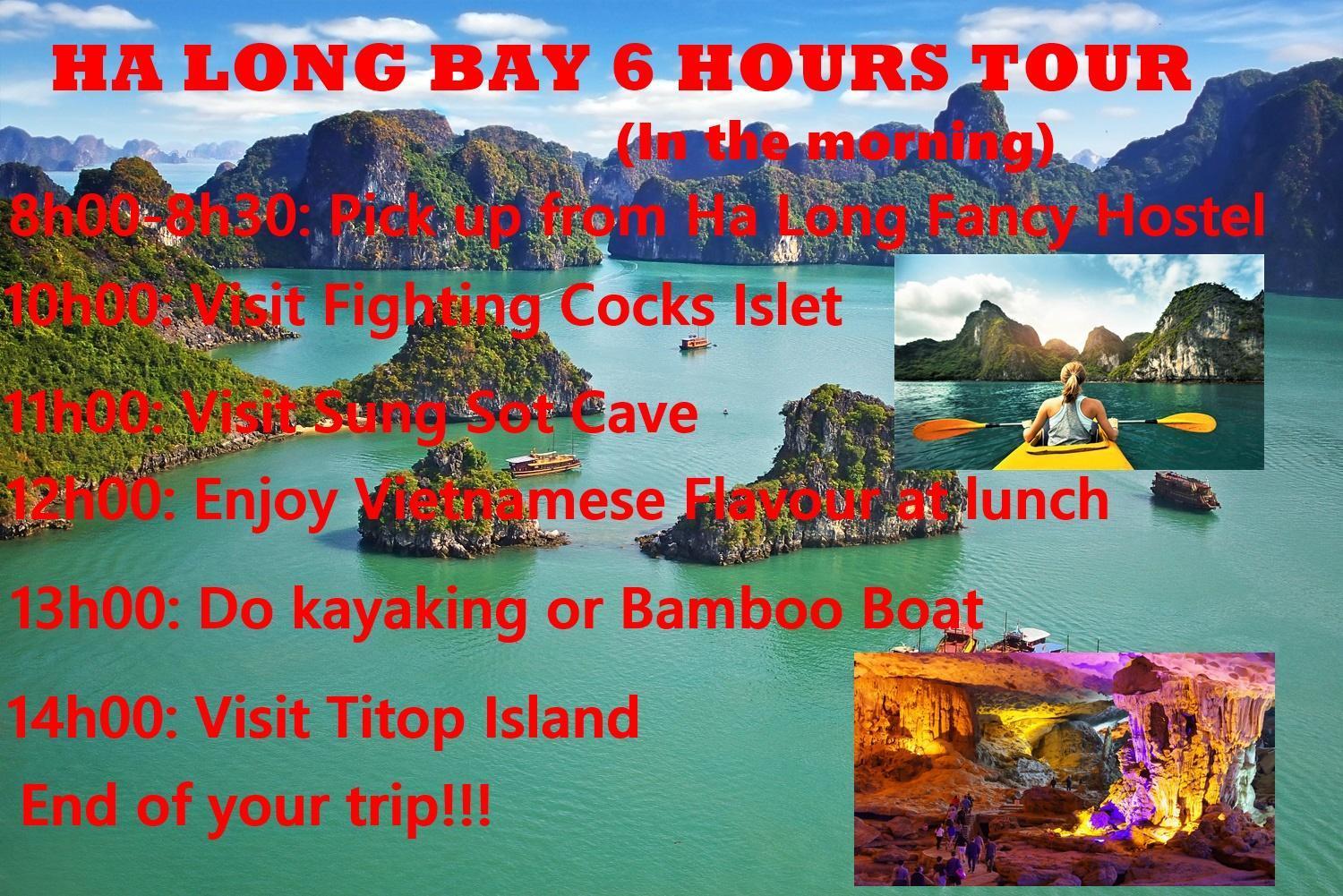 Ha Long Fancy Hostel With Vegetarian And Vegan Restaurant 外观 照片